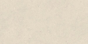 Artic